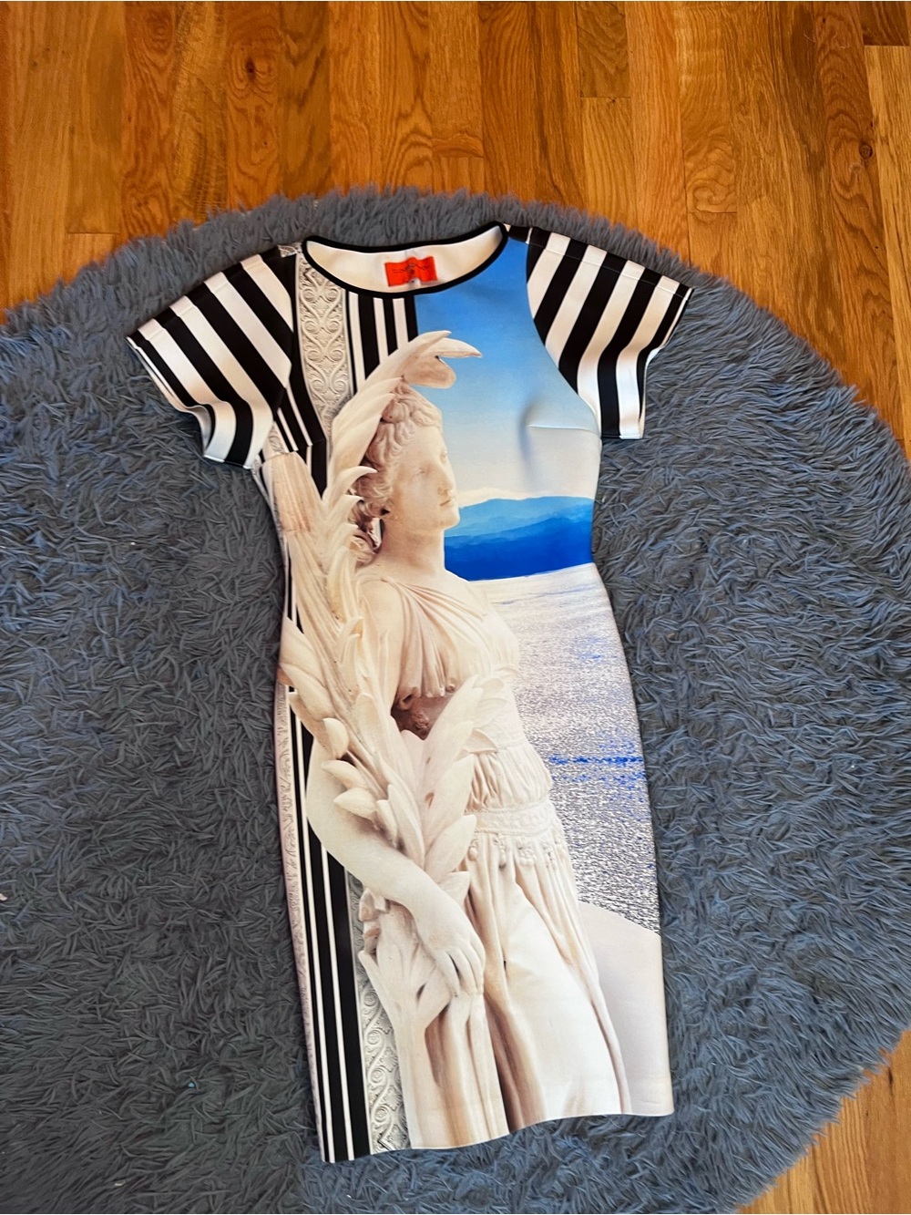 Clover Canyon Sculptural Print Sheath Scuba Dress Size M Art to Wear